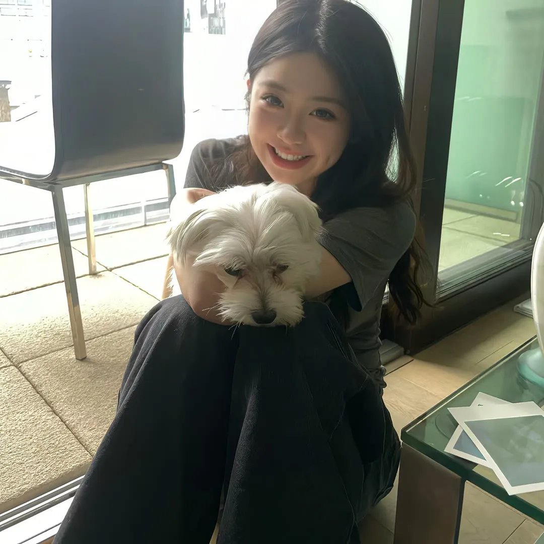 与鲨同泳
